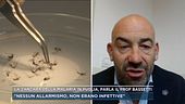 La zanzara della malaria in Puglia, parla il Prof. Bassetti