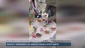 Pepe e Nanà, oggi sposi...sono 2 cani
