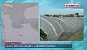 Novellara, dalle serre dove è stata portata Saman