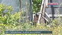 Trevignano, Gisella torna al campo delle rose