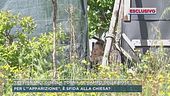 Trevignano, Gisella torna al campo delle rose