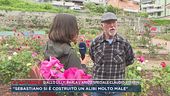 Liliana Resinovich, Sebastiano e l'alibi per la mattina della scomparsa
