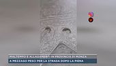 Maltempo e allagamenti in provincia di Monza
