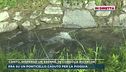 Cantù, disperso un 66enne, in corso le ricerche