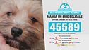 Leida, fino al 25 maggio un sms solidale al 45589