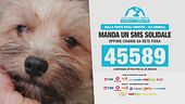 Leida, fino al 25 maggio un sms solidale al 45589