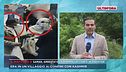 Saman, arrestata la mamma latitante in Pakistan