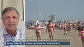 Dieta anti caldo, parla il professor Grieco