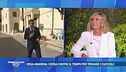 Orsa Amarena: corsa contro il tempo per trovare i cuccioli