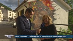 L'orsa Amarena era un pezzo della comunità