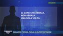 Pierina, il giallo della lavatrice la notte del delitto