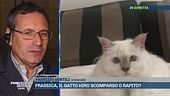 Frassica, il gatto Hiro scomparso o rapito?