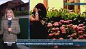 Sospettata di infanticidio, per i medici non doveva stare da sola