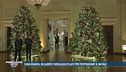 Casa Bianca, 98 alberi e migliaia di luci per festeggiare il Natale