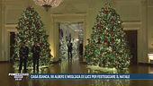 Casa Bianca, 98 alberi e migliaia di luci per festeggiare il Natale