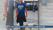 Monza, travolto da un'auto pirata mentre è a passeggio col cane