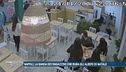 Napoli, la banda dei ragazzini che ruba gli alberi di Natale