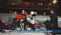 Cortina, i cani da slitta e i loro compagni umani