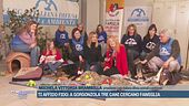 Ti Affido Fido: a Gorgonzola tre cani cercano famiglia