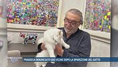 Frassica denunciato dai vicini dopo la sparizione del gatto