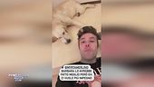 Caso Ferragni, l'insofferenza di Fedez