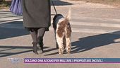 Bolzano: dna ai cani per multare i proprietari incivili