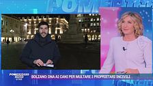 Bolzano: il tampone per il test del dna ai cani
