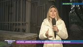 Catania, 13enne aggredita: riconosce e denuncia il branco