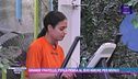 Grande Fratello, Perla pensa al suo amore per Mirko