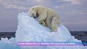 Clima impazzito: è l'inverno più caldo della storia