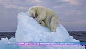 Clima impazzito: è l'inverno più caldo della storia