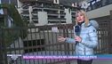 Bolzano, donna accoltellata: il mistero del figlio adottivo