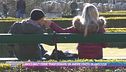 Amici mai? Come trasformare un amore finito in amicizia