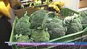 La primavera a tavola, come cambia la spesa di stagione