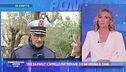 L'appello per trovare chi ha ucciso il cane: "Chi sa parli"