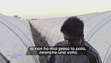 Lo zio di Saman Abbas sul luogo del delitto