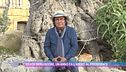 Silvio Berlusconi, il ricordo di Al Bano