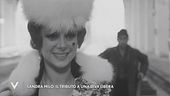 Sandra Milo, il tributo a una diva libera