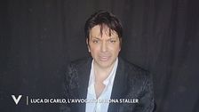 Luca Di Carlo, l'avvocato di Ilona Staller