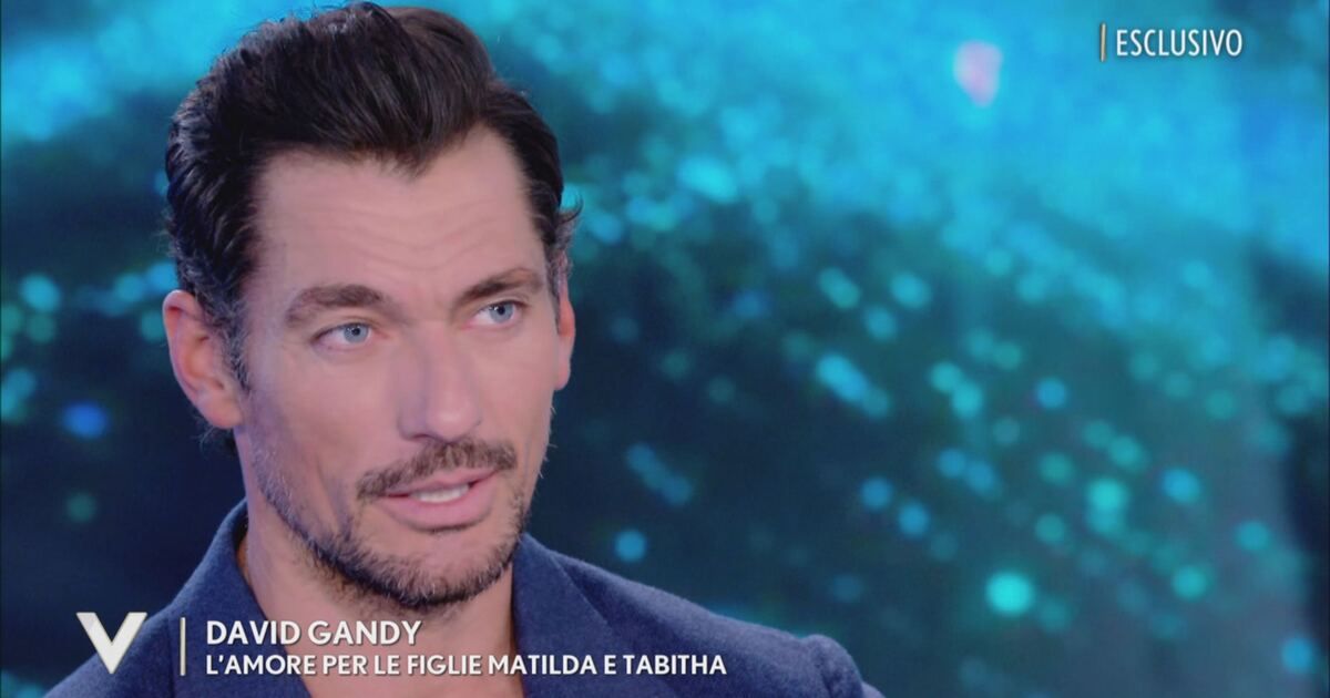 Verissimo: David Gandy: 