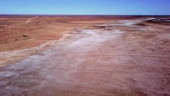 Ep. 1 - Le balene della Panamericana