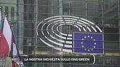 La nostra inchiesta sulle Ong green