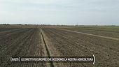 Le direttive europee che uccidono la nostra agricoltura