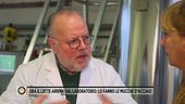 Ora il latte arriva dal laboratorio: lo fanno le mucche d'acciaio