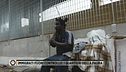 Immigrati fuori controllo: i quartieri della paura