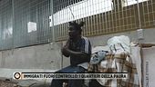 Immigrati fuori controllo: i quartieri della paura