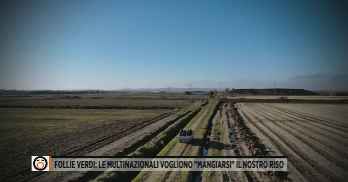 mediasetinfinity.mediaset.it