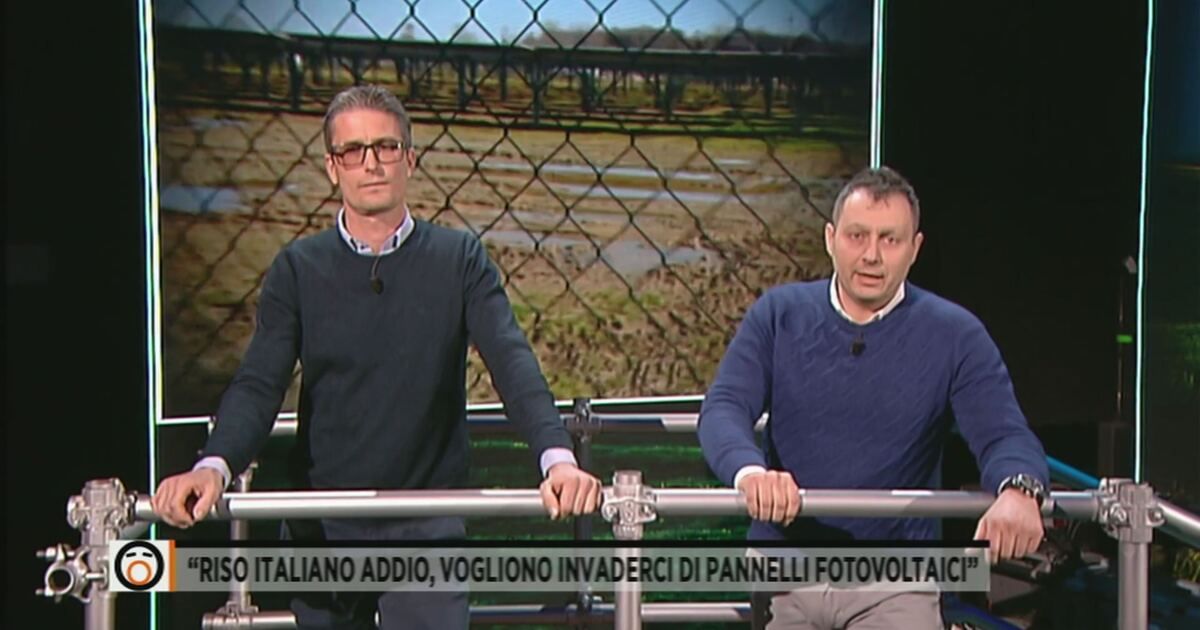mediasetinfinity.mediaset.it
