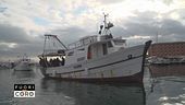 Pescatori pagati per non lavorare