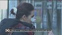 Belli da morire: allarme punturine fuorilegge